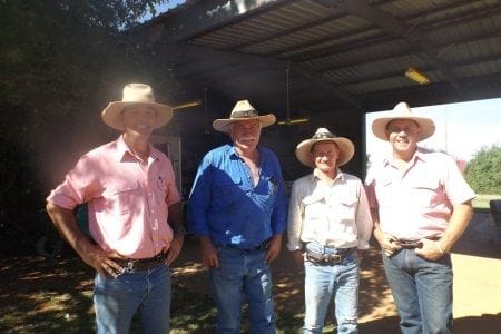 Broome sale reaches $1243 for steers